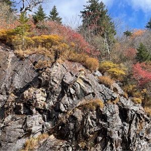 Meet your Posher, Adalie